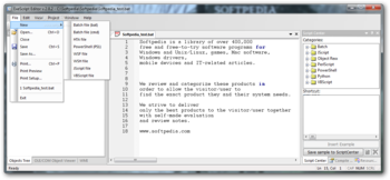 ExeScript Editor screenshot 2