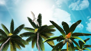 Exotic Beaches 3D screenshot 2