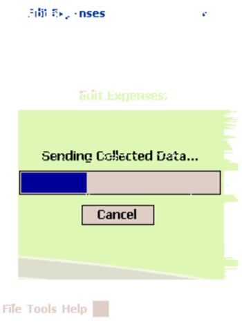 Expense Recorder for Pocket PC screenshot 2