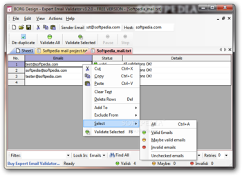 Expert Email Validator screenshot 2