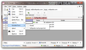 Expert Email Validator screenshot 3