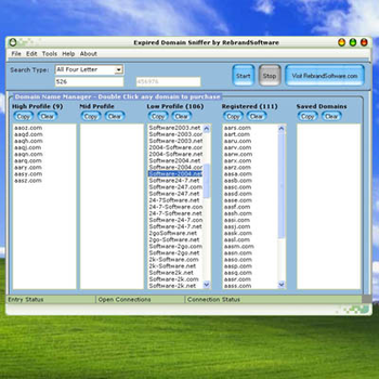 Expired Domain Sniffer screenshot 2