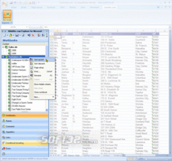 Explorer for Microsoft Excel screenshot 2