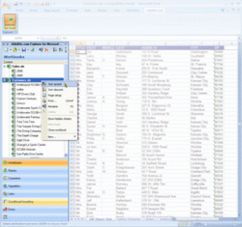 Explorer for Microsoft Excel screenshot 3