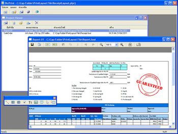 Express Report screenshot
