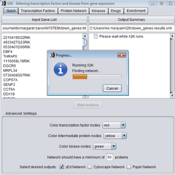 Expression2Kinases screenshot