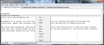 Extreme Editor screenshot