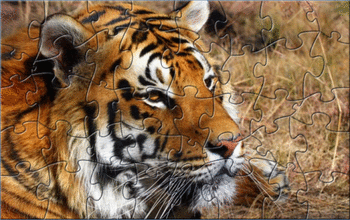 Extreme Tiger Puzzle screenshot