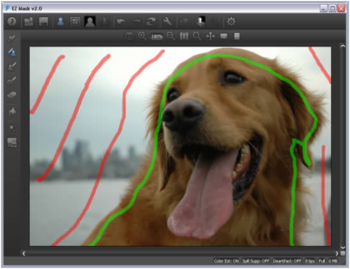 EZ Mask screenshot