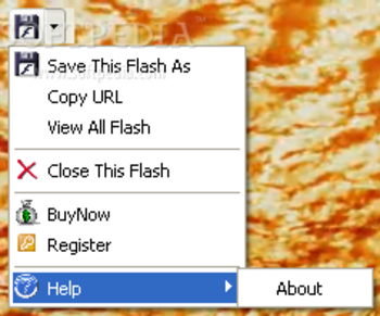 EZ Save Flash screenshot