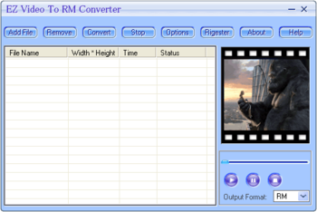 EZ Video To RM Converter screenshot