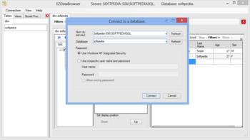 EZDataBrowser screenshot 2