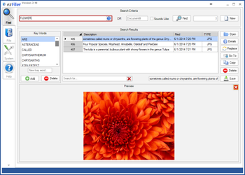 ezFiler screenshot 2
