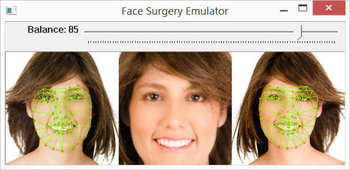 Face Surgery Emulator screenshot