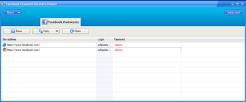 Facebook Password Recovery Master screenshot