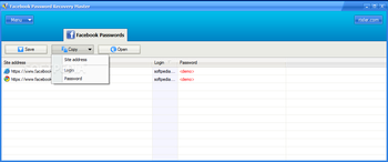 Facebook Password Recovery Master screenshot 2