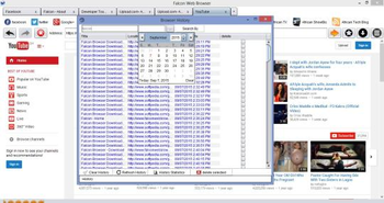 Falcon Browser screenshot 2