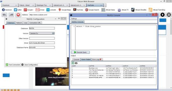 Falcon Browser screenshot 5