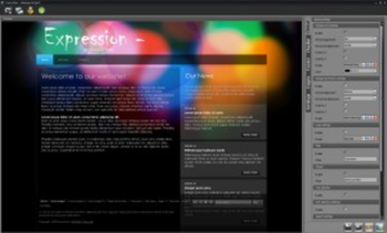 fancyPlus Flash Editor screenshot 2
