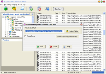 Fans IE Cache Files Flash Get 2012 screenshot