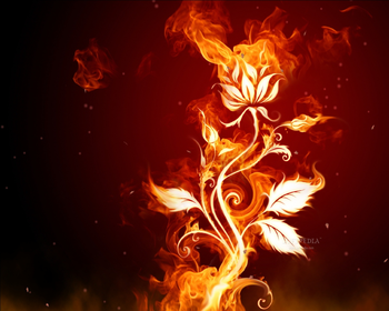 Fantastic Fire Screensaver screenshot