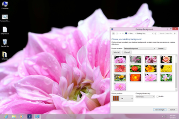 Fantastic Flowers Theme screenshot