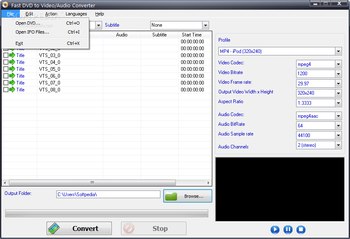 Fast DVD to Video/Audio Converter screenshot 2