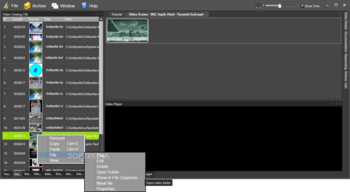 Fast Video Cataloger screenshot 2