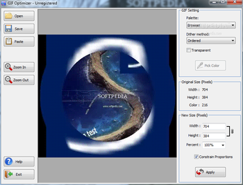 Fast Video to GIF SWF Converter screenshot 5