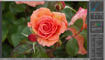 FastRawViewer screenshot 5
