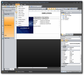 FastReport.Net screenshot 6