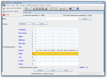 FastSmser screenshot 3