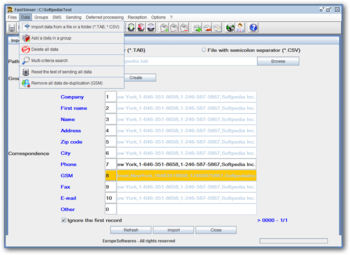 FastSmser screenshot 4