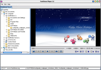 FastStone Player screenshot 2