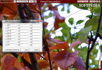 Fibonacci Lines Analyzer screenshot 2