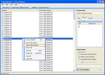 FictionSoftware MassRenamer screenshot