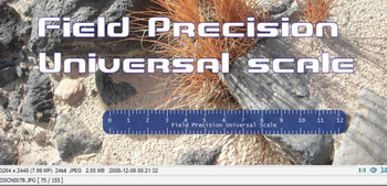 Field Precision Universal Scale screenshot 4