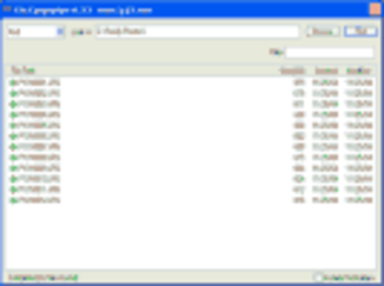 File Companion screenshot