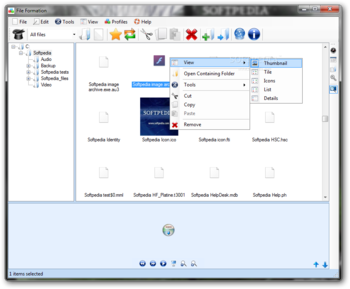 File Formation screenshot 2