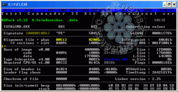 File Info screenshot