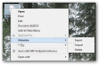 File Metadata screenshot 2