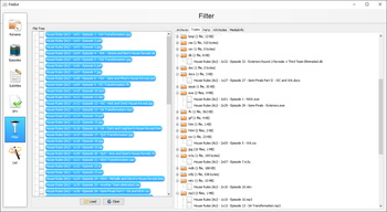 FileBot Portable screenshot 7