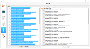 FileBot Portable screenshot 8