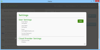 Filelize screenshot 2