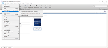 FileMaker Pro screenshot 2
