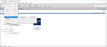 FileMaker Pro screenshot 3