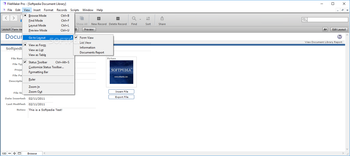 FileMaker Pro screenshot 4