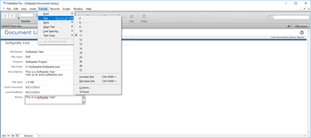 FileMaker Pro screenshot 6