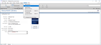 FileMaker Pro screenshot 9