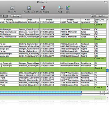 FileMaker Pro screenshot 5